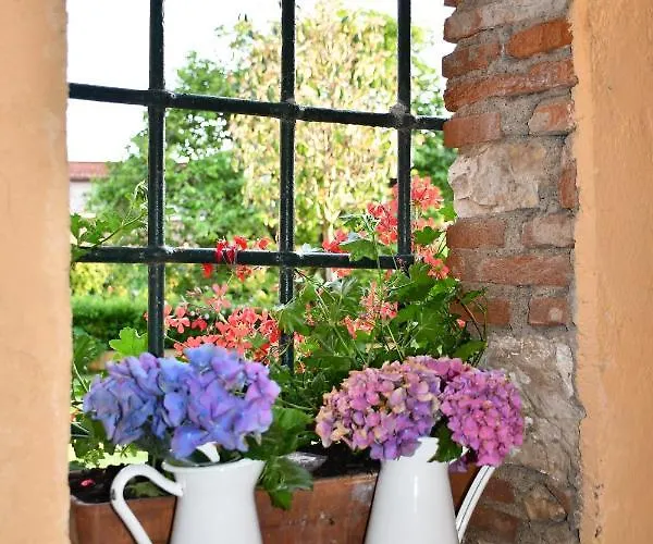 Bed & Breakfast Borgo Studiati Residenza D'epoca Pugnano